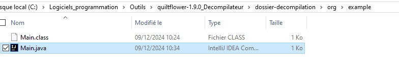 Fichier main.java dans un projet Java.